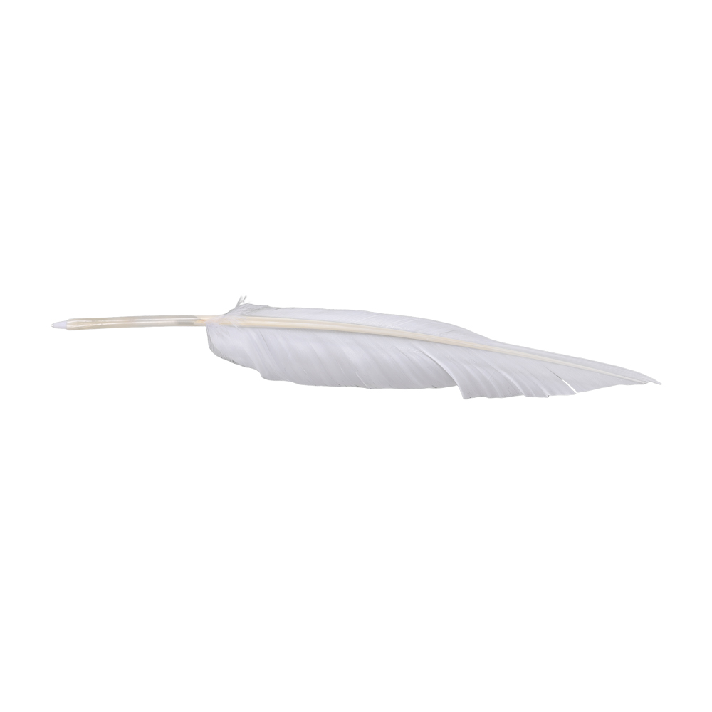 Disfraz de Anime Sousou de Fri - Frieren Cosplay Prop reseña y precio